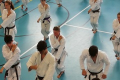 IMG_20230702_171828