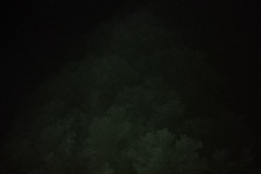 IMG_20191028_180956