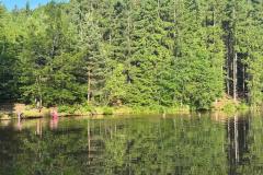 IMG-20250615-WA0014