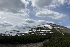 IMG_0842