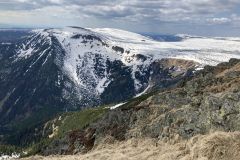 IMG_0880