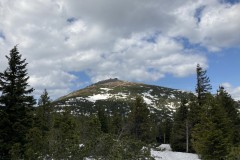 IMG_0914