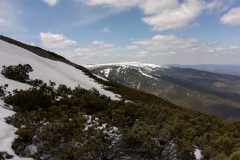 IMG_20220507_123904