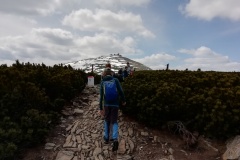 IMG_20220507_124330